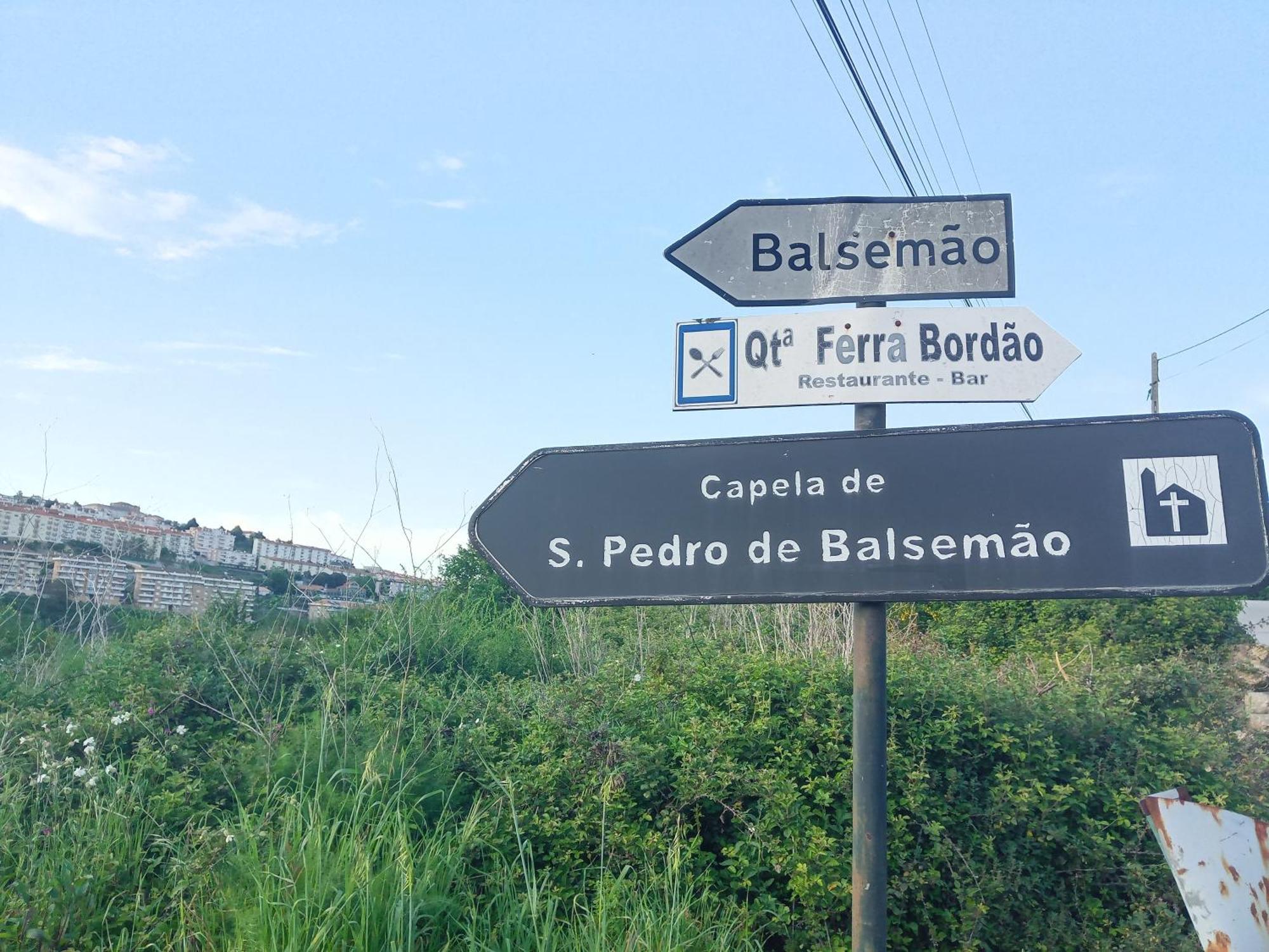 D. Maria Sao Pedro De Balsemao Guest House Lamego Exterior photo